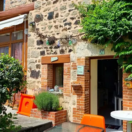 Le Celeste Châtel-Guyon Extérieur photo